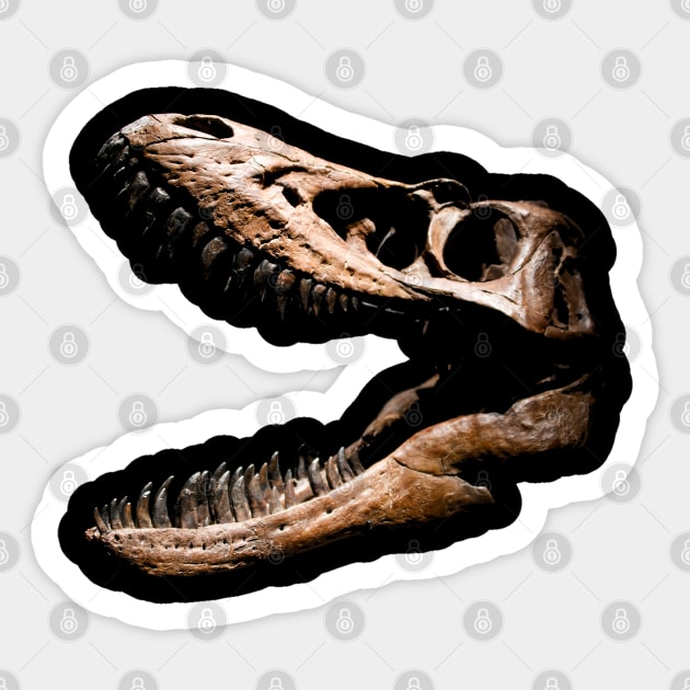 Carnivore skull Sticker by Wolf Art / Swiss Artwork Photography